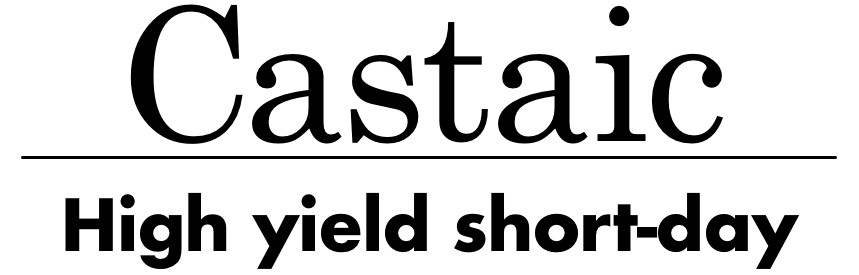 Castaic Icon